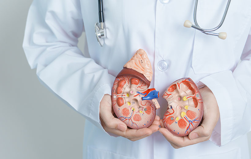 Рак почки: стадии, симптомы, лечение, прогноз