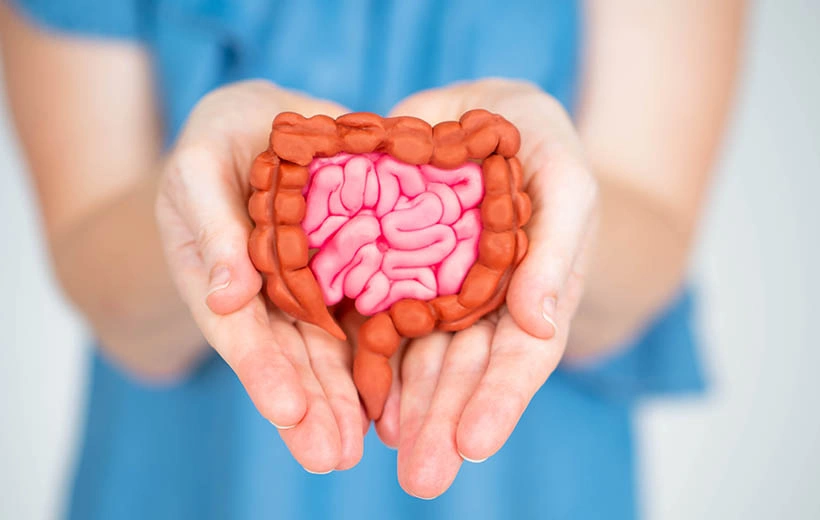 Заворот кишок: причины, симптомы, лечение Заворот кишок: причины, симптомы, лечение