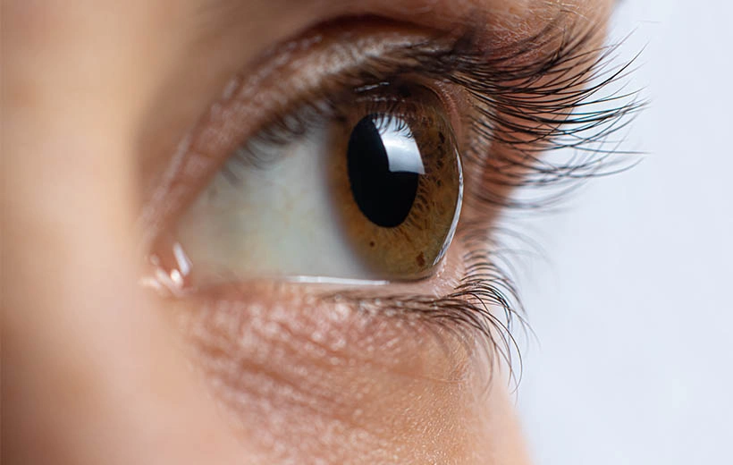 Дистрофия сетчатки: причины, симптомы, лечение Дистрофия сетчатки: причины, симптомы, лечение