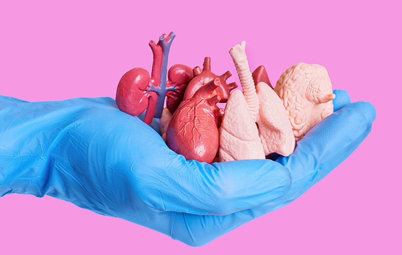 Ревмокардит: симптомы и лечение Ревмокардит: симптомы и лечение