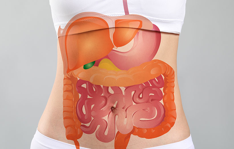 Дискинезия желчного пузыря: симптомы и лечение Дискинезия желчного пузыря: симптомы и лечение