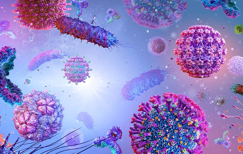 Сыпной тиф: возбудитель, симптомы, лечение