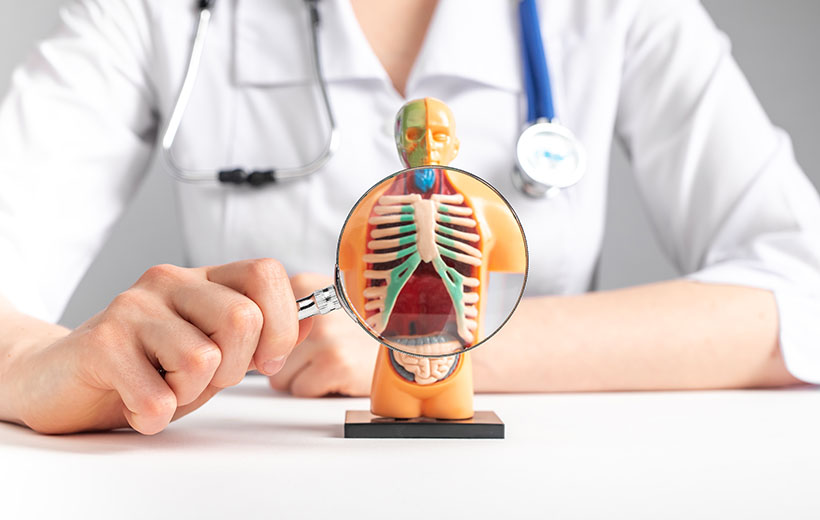 Диафрагмальная грыжа: симптомы и лечение Диафрагмальная грыжа: симптомы и лечение