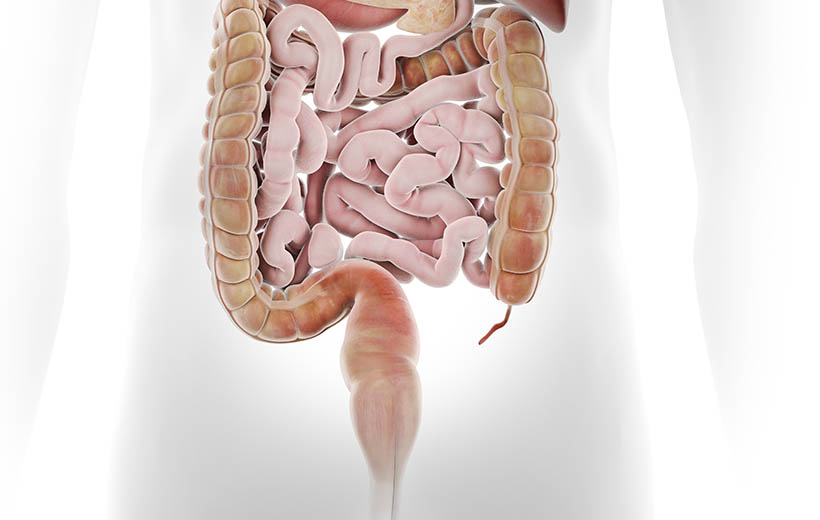 Полипы толстой кишки: причины, симптомы, лечение