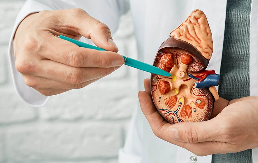 Мочекаменная болезнь: симптомы и лечение