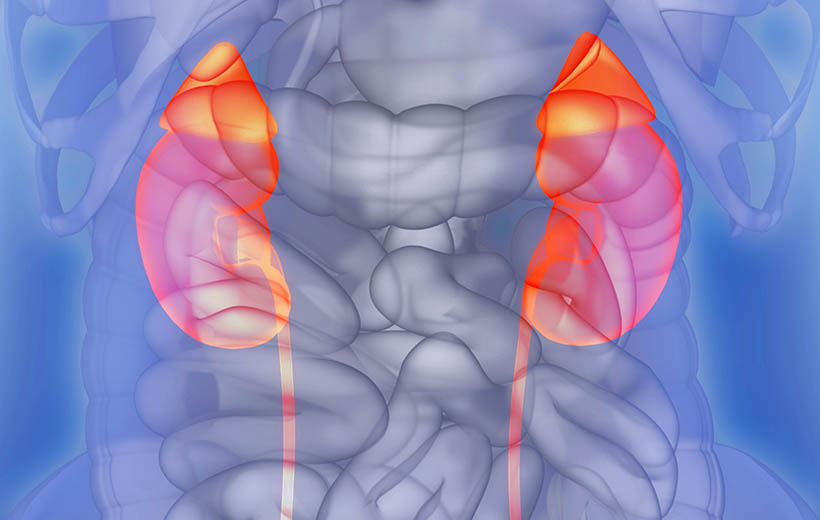 Гиперальдостеронизм: симптомы и лечение