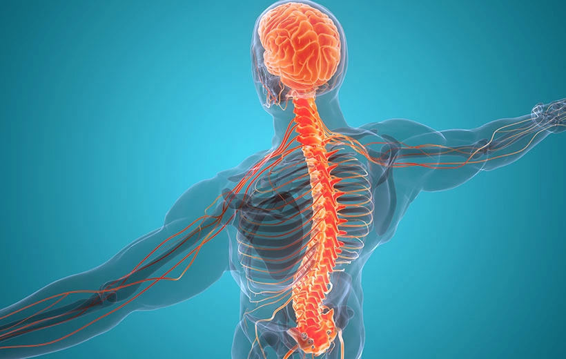 Нейропатия: симптомы и лечение невропатии Нейропатия: симптомы и лечение невропатии