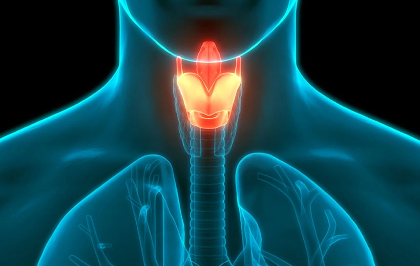 Ларингоспазм: симптомы и помощь