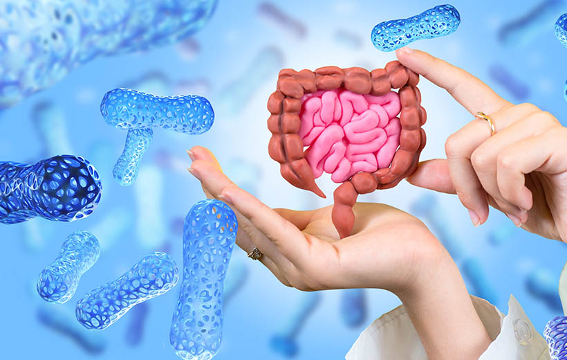 Иерсиниоз: возбудитель, симптомы, лечение