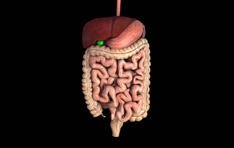 Полипы прямой кишки: причины, симптомы, лечение Полипы прямой кишки: причины, симптомы, лечение