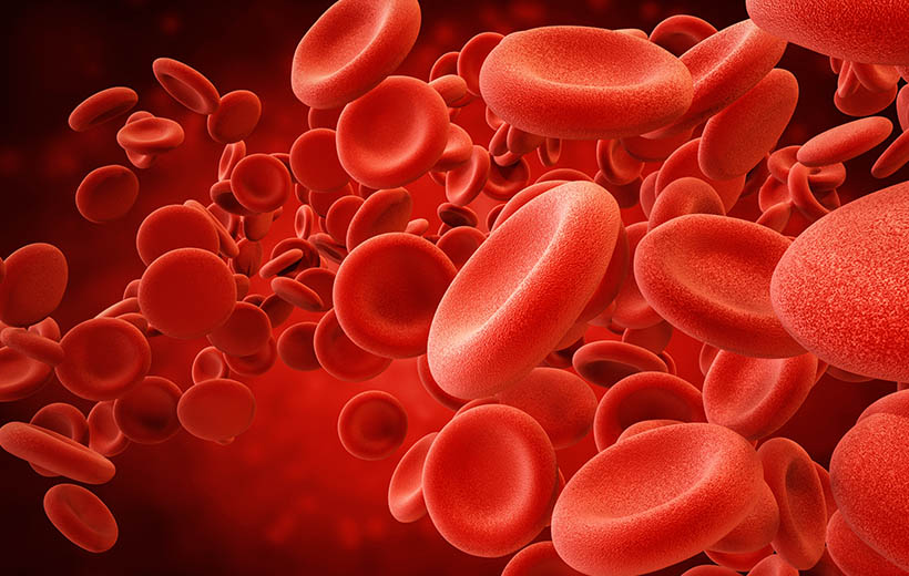 Сывороточная болезнь: причины, симптомы, лечение