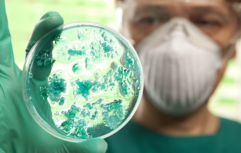 Токсокароз: симптомы и лечение у детей и взрослых