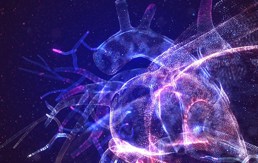 Тетрада Фалло: причины, симптомы, лечение